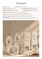 Diffuseur de parfum en verre de luxe 100 ml avec bâtonnets en rotin, dans un coffret cadeau, pour la maison, le bureau, la voiture, les hôtels, personnalisable
