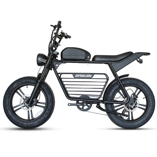Electric Bicycle Electric Cycle Bike