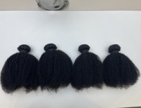 Lots de Cheveux Humains Bruts Afro Crépus Bouclés Brésiliens, 100% Cheveux Humains Vierges, Extensions de Tissage 4a 4b 4c pour Femmes