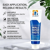 Pâte de réparation murale acrylique, mastic de remplissage, pâte à jointer, imperméable, résistante à la moisissure, pour la réparation des murs intérieurs