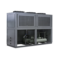 Energiezuinige V-vormige scroll-koelunit met ZB-condensorunit voor het bewaren van groenten en fruit in koelcellen