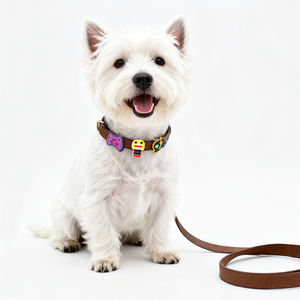Conjunto de <span class=keywords><strong>Collar</strong></span> y correa de perro cachorro DIY lindo de cuero suave personalizado con pegatina de dibujos animados de PVC insignia etiqueta emblema accesorios de dijes para mascotas - Product Image 6