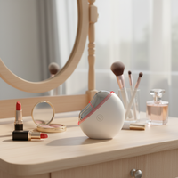 Appareil de beauté micro-courant 2026 pour usage domestique, outil vibrant de lifting du visage anti-rides, machine électrique ABS Guasha pour le raffermissement de la peau