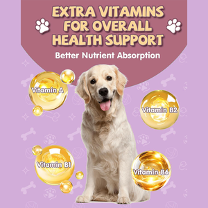 Gocce naturali a base di erbe Echinacea timo goldensare per cane supporto immunitario infezione infiammazione sollievo allergia pelle prurito - Product Image 5