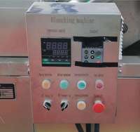 Beste Prijs Hoge Efficiëntie 304 Roestvrijstalen Frites En Aardappelchips Blancheermachine Voor Fruit-En Groenteverwerking