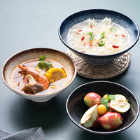 Passe au lave-vaisselle au four Porcelaine de service aux nouilles Grand bol de ramen en céramique de 9 pouces
