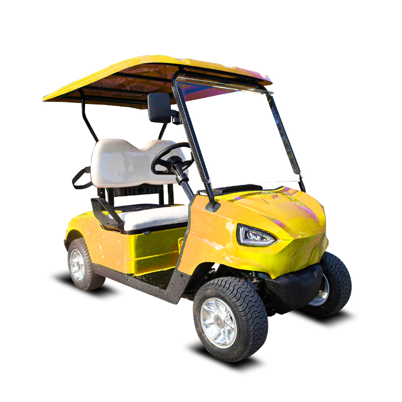 Прямая продажа с фабрики поддержки по индивидуальному заказу Зеленый Новый 48V5KW 2-местный мини-гольф-кары CE