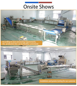 Ligne de production industrielle de légumes surgelés : machine de découpe, lavage, blanchiment, séchage et congélation du brocoli - Product Image 3