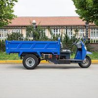Motocarro Agrícola, Triciclo de Carga de 2 Toneladas, Triciclo de Carga Diésel, Motocicletas de Tres Ruedas para Mercancías Voluminosas