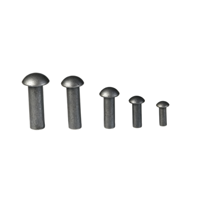 Rivets aveugles ronds en acier inoxydable poli, plaqués zinc, tailles personnalisées, rivets industriels, attaches