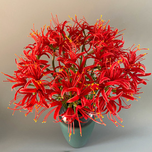Flores Artificiales de Lirio Araña Rojo al por Mayor para Centros de Mesa de Boda, Decoración de Fondo para Mesas, Decoración Floral - Product Image 4