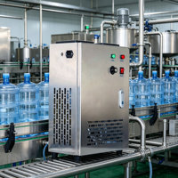 Générateur d'ozone réglable pour système de traitement d'eau minérale en bouteille, ligne de remplissage d'eau pure, purificateur de débit O3 pour robinet, usine