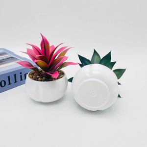 Plantes succulentes artificielles Paulon en pot de 12 cm, pot blanc, vert, rose, orange, décoration intérieure, ornement de bureau à domicile - Product Image 3