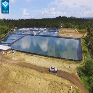 Geomembrane HDPE Sheet 0.3mm 0.5mm 0.75mm 1mm for Fish Shrimp farm Pond in Ecuador