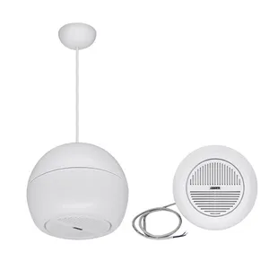 DSPPA Two-way White Suspended Ball Pendant Speaker