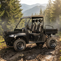 Vehículo Todoterreno Tipo Buggy Quad UTV, Robusto, para Transporte Agrícola, Patrullaje de Sitios, Actividades Deportivas al Aire Libre