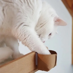 Juguete de autoentretenimiento para gatos, comedero para gatos, bolsa para premios, árbol para gatos multifuncional con adhesivos, juguete educativo para gatos - Product Image 2