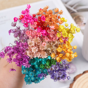 L12 Fiori Secchi Naturali Mini Stella del Brasile YUNNAN per Resina Epossidica, Arte, Unghie, Sapone, Candele Profumate - Collezione Terra - Product Image 1