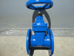 Válvula de Compuerta de Hierro Fundido con Asiento Resiliente DIN PN10 PN16 y Vástago Fijo para Agua y Petróleo - Product Image 5