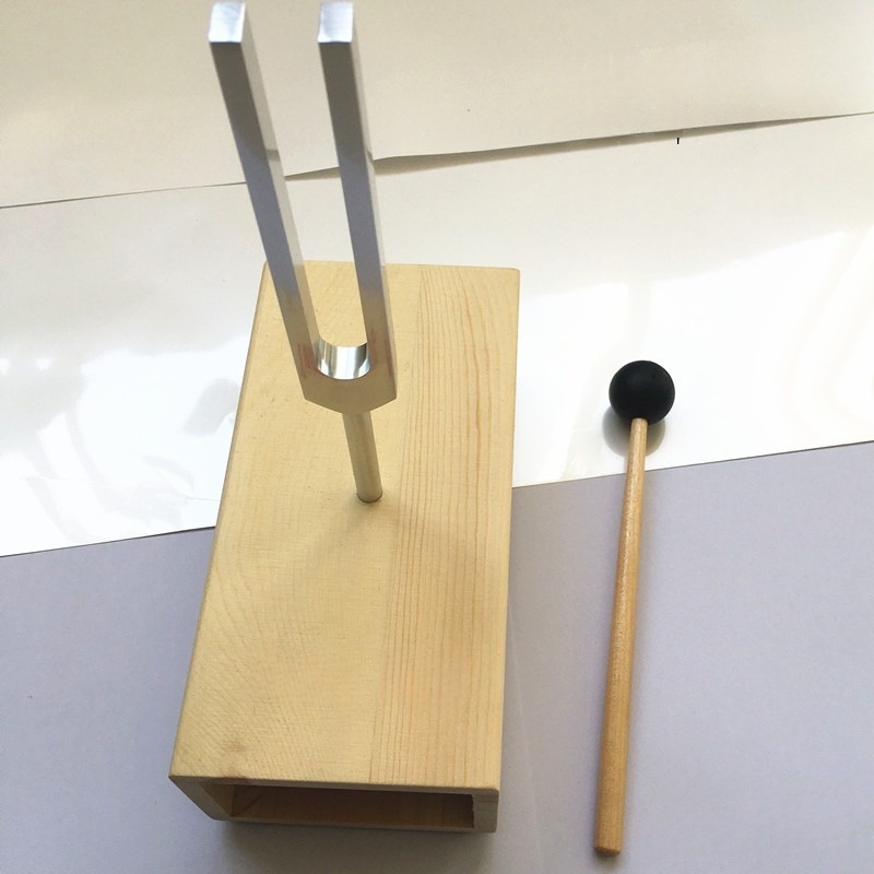 Tuning Fork 440HZ Vibration, Steel Singing Tone Tuning Set with Silicone  Hammer and Wooden Voice Box for Sound Therapy Yoga
