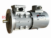 Variateur de fréquence triphasé de qualité professionnelle pour moteur, à usages multiples