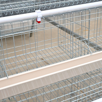 Cages à batterie de type A pour poules pondeuses, pour l'élevage avicole en ferme, avec galvanisation à chaud