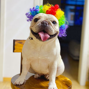 funny fancy hair wig parties adjustable medium large sized