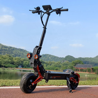 Scooter électrique tout-terrain adulte chaud original d'usine de 12 pouces 5000W 1200W 2400WObarter D5