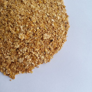 Spezifikation hersteller <span class=keywords><strong>export</strong></span> gelb mais keim mahlzeit - Product Image 3