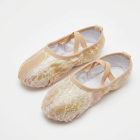 Chaussons de danse BW117 irisés en dentelle pour filles, semelle souple, à enfiler, sans lacets, pour l'entraînement et les spectacles sur scène