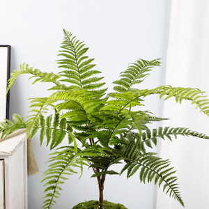 Persian Fern Artificial Plant High Simulation Indoor Decoration Greenery Single Piece Package - Product Image 2