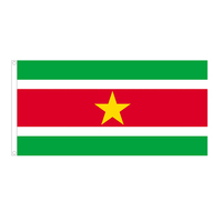 Drapeau usine bannières de commerce extérieur personnalisées, drapeau extérieur drapeaux de campagne suspendus