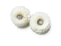 Diffuseur de parfum en roseau de 8 cm, fleurs parfumées, fleurs en bois de sola faites à la main