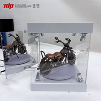 TERMEIN Boîte de présentation pour figurines avec projecteur LED RGB en acrylique écologique, base rotative, prise 12V