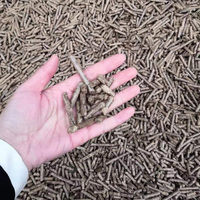 Proveedor de China Directamente Capacidad popular 2, 5, 10Tn Totalmente automatizado Alta rentabilidad Biomasa Pellet Línea de producción de madera Precio