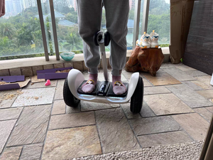 Ninebot รถสกูตเตอร์ไฟฟ้า2ล้อ2022,รถสกู๊ตเตอร์ไฟฟ้าอัจฉริยะควบคุมด้วยขาสำหรับเด็กผู้ใหญ่สินค้าใหม่ปี L8 - Product Image 5