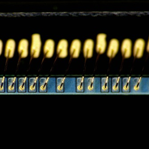 Bestscope BS-1120A <span class=keywords><strong>Obiettivo</strong></span> Zoom Monoculare 0.4X-8.0X Rapporto di Zoom <span class=keywords><strong>1</strong></span>:20 per Microscopio per Visione Artificiale - Product Image 5