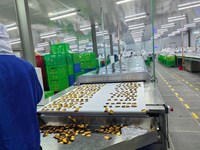 Complete Mango Verwerkingslijn voor Puree, Sap, Gedroogd Fruit & Jam |   Multifunctionele apparatuur voor de productie van fruitpasta
