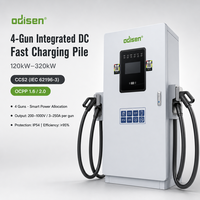 Chargeur DC pour VE à montage au sol 120kW 320kW CCS2 Double Pistolet 250A 0-1000V IP55 Alimentation Dynamique Carte QR Certifié ISO9001 SASO Extérieur Nouveau