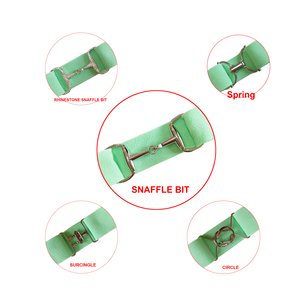 <span class=keywords><strong>Cintura</strong></span> Elastica Glitterata da 1,5 Pollici (4 cm) <span class=keywords><strong>con</strong></span> Fibbia a Morsetto, <span class=keywords><strong>Cintura</strong></span> Equestre in Tessuto, Incisione Logo Gratuita, Nessun MOQ - Product Image 1