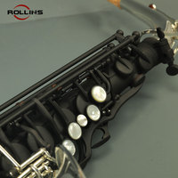 Professional High Grade Woodwind Instrument KSA-C3-II Alto Saxophone