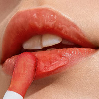 Huile à lèvres hydratante HUASURV avec vitamine E, formule hydratante longue durée, effet repulpant, teinte à lèvres 6 couleurs, 9 ml