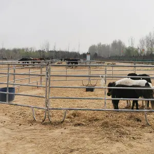 10ft 12ft 14ft Corral panels sheep Gate Portable Australian Cattle corral panel Steel Horse panel