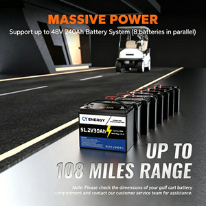 แบตเตอรี่ลิเธียมไอรอนฟอสเฟต 51.2V 50Ah 1536Wh 4000 รอบการใช้งาน สำหรับรถกอล์ฟ ระบบสำรองไฟ และพลังงานแสงอาทิตย์แบบออฟกริด - Product Image 3