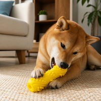 Jouet à mâcher interactif en caoutchouc couineur, durable, classique/moderne pour chien, jouet osseux pour le nettoyage dentaire, disponible