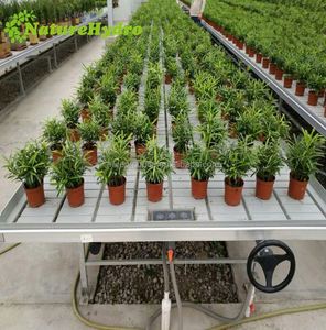 Bancs Oeuf avec moteur de Jn8-48 Agriculture Serre Systèmes hydroponiques Banc roulant Ebb and Flow Grow Tray à vendre - Product Image 1