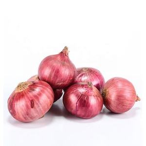 Prix d'usine en gros Nouvelle récolte saison 2026 Oignon jaune frais chinois de qualité export en sacs en filet de 5cm, 7cm, 9cm en vrac - Product Image 1