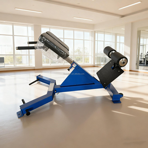 Chaise réglable d'<span class=keywords><strong>hyperextension</strong></span> d'équipement de forme physique de banc d'extension de dos de 45 degrés de nouvelle conception commerciale pour la <span class=keywords><strong>musculation</strong></span> - Product Image 6