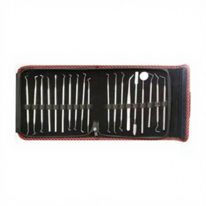 Kit de 19 Instrumentos Dentales Conservadores con Mango Hueco, Herramientas Manuales Plateadas - Product Image 1
