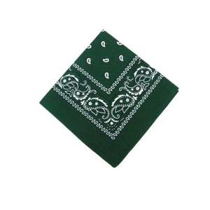 Bandana à motifs, foulard bandana western pour cheveux, accessoire capillaire tendance pour femme, design élégant pour tenues décontractées et de festival - Product Image 3